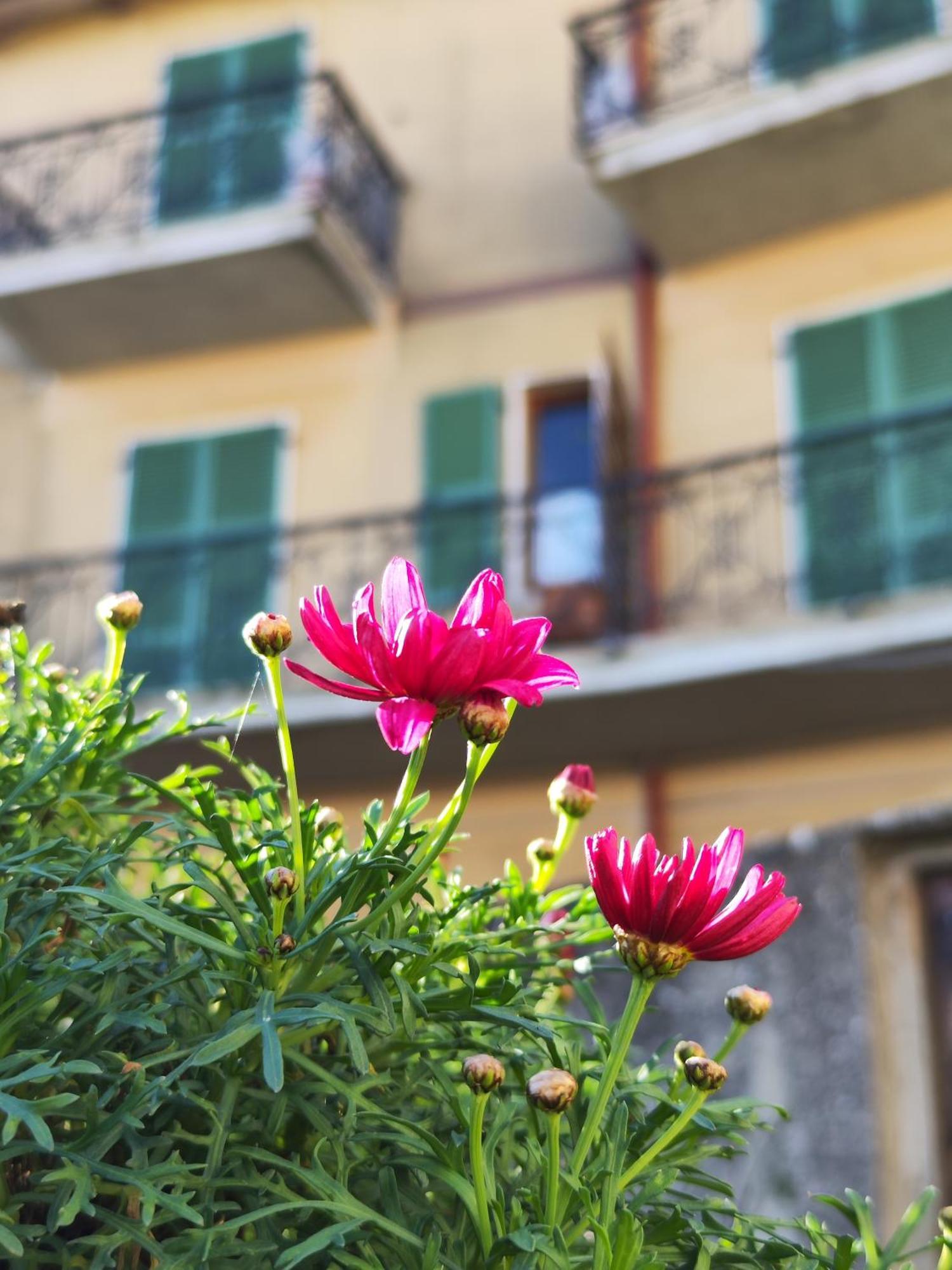 Casa Agello B&B Ripatransone Exteriér fotografie